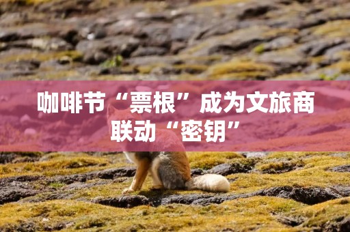 咖啡节“票根”成为文旅商联动“密钥”