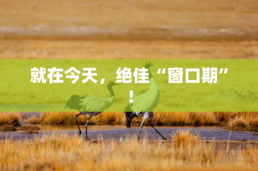 就在今天，绝佳“窗口期”！
