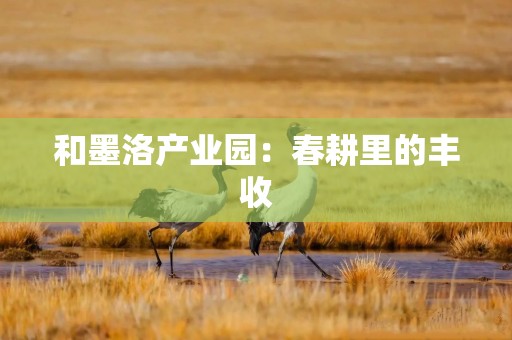 和墨洛产业园：春耕里的丰收
