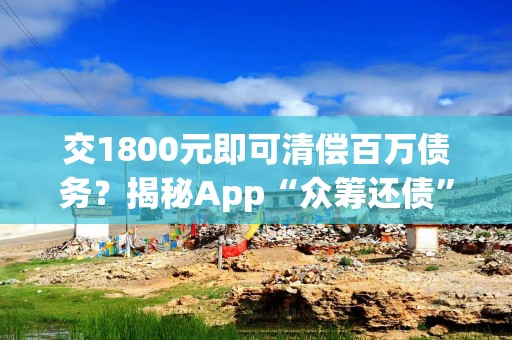 交1800元即可清偿百万债务？揭秘App“众筹还债”套路