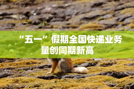 “五一”假期全国快递业务量创同期新高