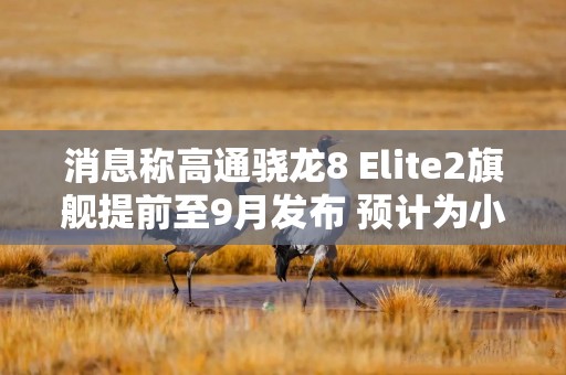 消息称高通骁龙8 Elite2旗舰提前至9月发布 预计为小米16系列