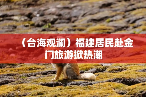 （台海观澜）福建居民赴金门旅游掀热潮