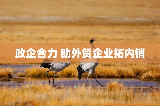 政企合力 助外贸企业拓内销