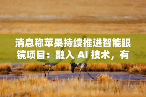 消息称苹果持续推进智能眼镜项目：融入 AI 技术，有望 2027 年推出