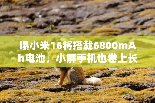 曝小米16将搭载6800mAh电池，小屏手机也卷上长续航赛道了
