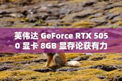 英伟达 GeForce RTX 5050 显卡 8GB 显存论获有力支持，商科（铭瑄）已有备案