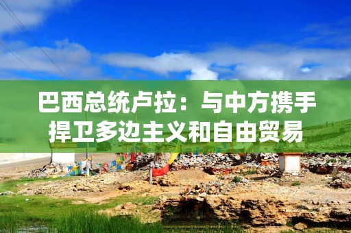 巴西总统卢拉：与中方携手捍卫多边主义和自由贸易