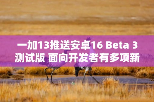 一加13推送安卓16 Beta 3测试版 面向开发者有多项新功能
