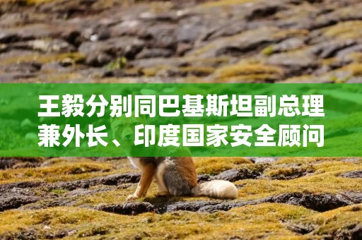 王毅分别同巴基斯坦副总理兼外长、印度国家安全顾问通电话