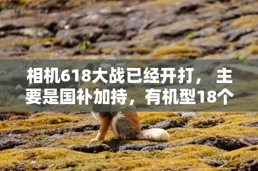 相机618大战已经开打， 主要是国补加持，有机型18个月便宜了4000