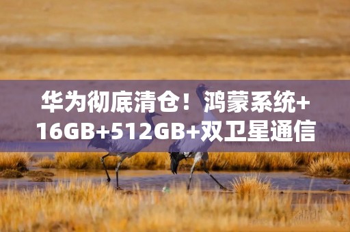 华为彻底清仓！鸿蒙系统+16GB+512GB+双卫星通信，降幅高达3500元