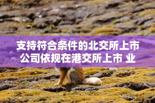 支持符合条件的北交所上市公司依规在港交所上市 业内：助力形成“上市—成长—国际化”良性循环