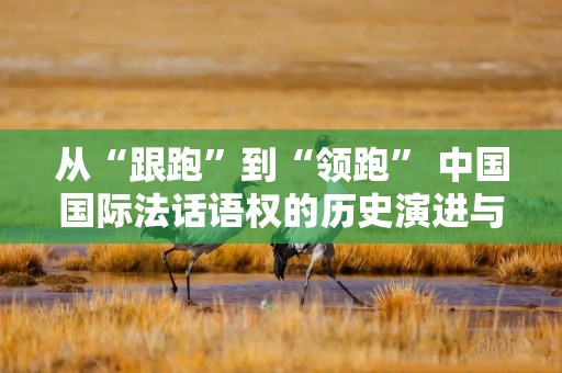 从“跟跑”到“领跑” 中国国际法话语权的历史演进与时代机遇