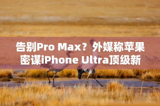 告别Pro Max？外媒称苹果密谋iPhone Ultra顶级新旗舰