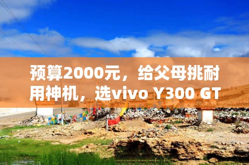 预算2000元，给父母挑耐用神机，选vivo Y300 GT就对了！