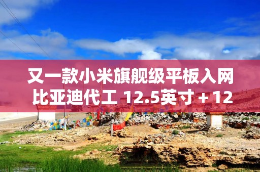 又一款小米旗舰级平板入网 比亚迪代工 12.5英寸＋120W