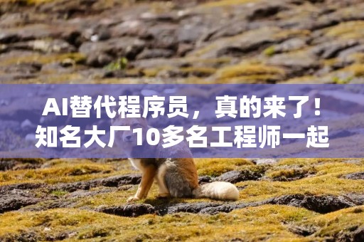 AI替代程序员，真的来了！知名大厂10多名工程师一起被裁，一位AI部门主管也在列！公司披露：20%多的代码已由AI生成
