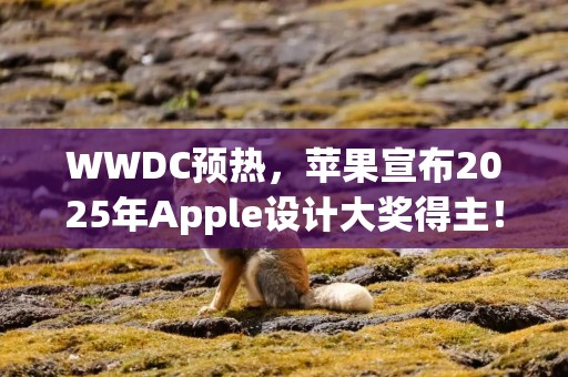 WWDC预热，苹果宣布2025年Apple设计大奖得主！