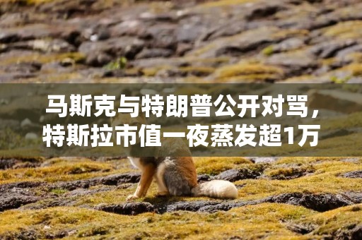 马斯克与特朗普公开对骂，特斯拉市值一夜蒸发超1万亿元；“AI教母”李飞飞揭秘“世界模型”丨全球科技早参