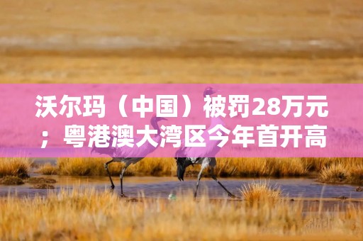 沃尔玛（中国）被罚28万元；粤港澳大湾区今年首开高铁“荔枝专列”丨消费早参