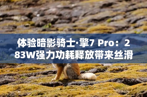 体验暗影骑士·擎7 Pro：283W强力功耗释放带来丝滑游戏体验