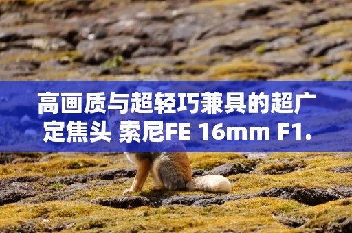 高画质与超轻巧兼具的超广定焦头 索尼FE 16mm F1.8 G评测