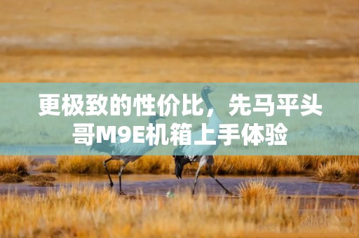 更极致的性价比，先马平头哥M9E机箱上手体验