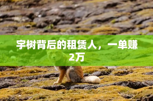 宇树背后的租赁人，一单赚2万