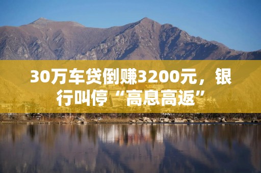 30万车贷倒赚3200元，银行叫停“高息高返”