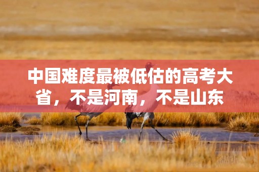 中国难度最被低估的高考大省，不是河南，不是山东