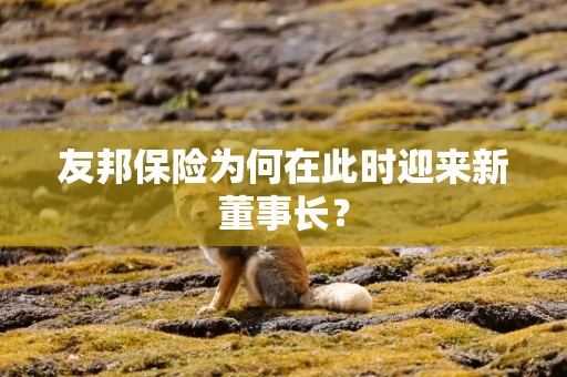友邦保险为何在此时迎来新董事长？