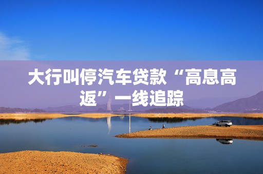 大行叫停汽车贷款“高息高返”一线追踪
