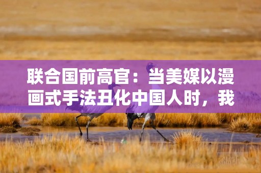 联合国前高官：当美媒以漫画式手法丑化中国人时，我要说，这并非事实