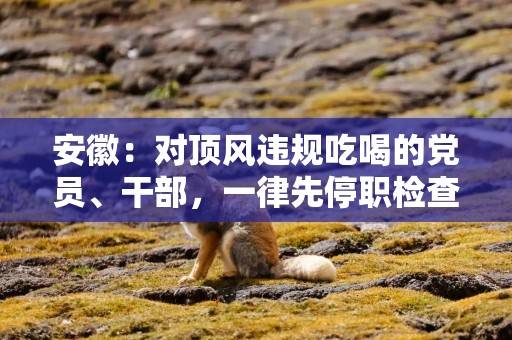 安徽：对顶风违规吃喝的党员、干部，一律先停职检查