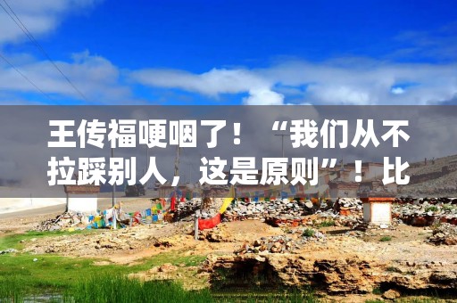 王传福哽咽了！“我们从不拉踩别人，这是原则”！比亚迪：我们不打价格战