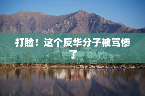 打脸！这个反华分子被骂惨了