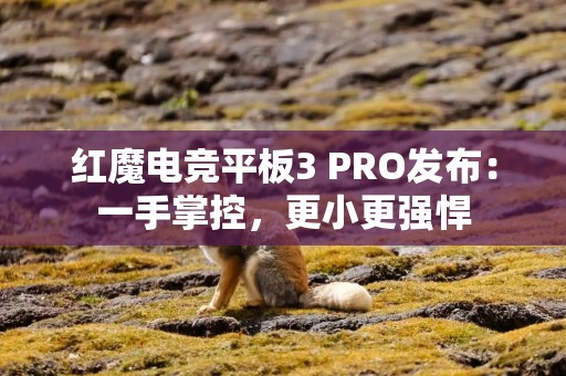 红魔电竞平板3 PRO发布：一手掌控，更小更强悍