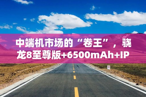 中端机市场的“卷王”，骁龙8至尊版+6500mAh+IP69，低至2219元起