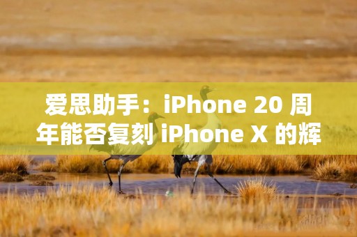 爱思助手：iPhone 20 周年能否复刻 iPhone X 的辉煌