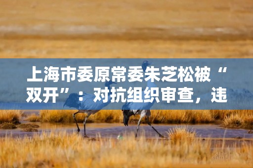 上海市委原常委朱芝松被“双开”：对抗组织审查，违规低价出让国有土地使用权