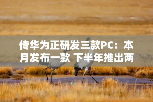 传华为正研发三款PC：本月发布一款 下半年推出两款