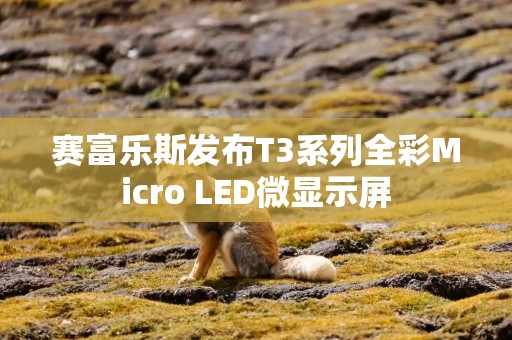 赛富乐斯发布T3系列全彩Micro LED微显示屏