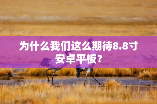 为什么我们这么期待8.8寸安卓平板？