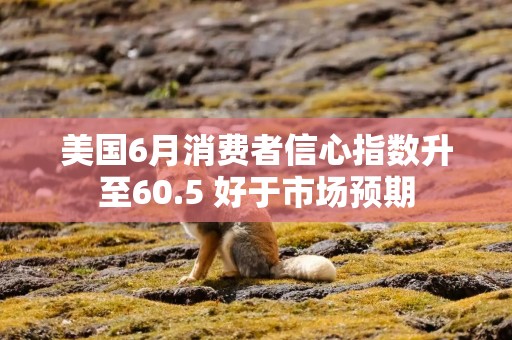 美国6月消费者信心指数升至60.5 好于市场预期
