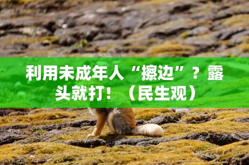 利用未成年人“擦边”？露头就打！（民生观）