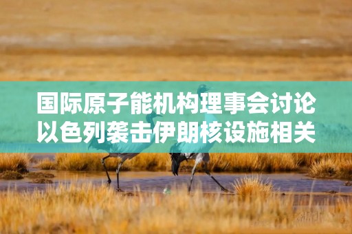 国际原子能机构理事会讨论以色列袭击伊朗核设施相关问题