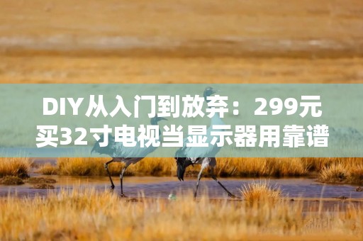 DIY从入门到放弃：299元买32寸电视当显示器用靠谱吗？