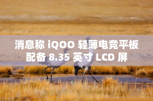 消息称 iQOO 轻薄电竞平板配备 8.35 英寸 LCD 屏