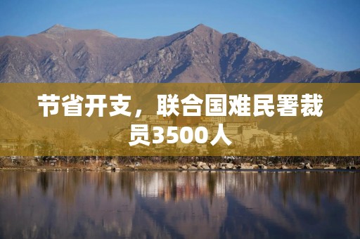 节省开支，联合国难民署裁员3500人